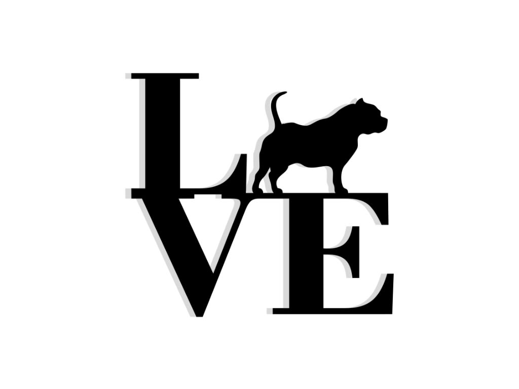 AMERICAN BULLY LOVE2