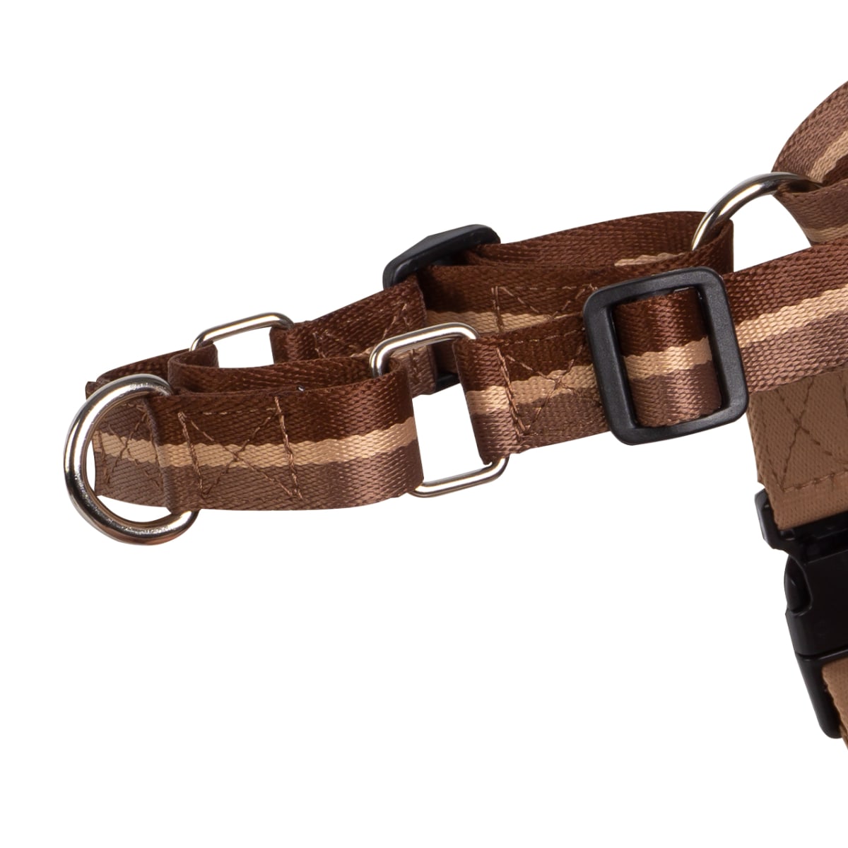 CACHORREIROS ARNES ANTIJALONES CAFE2