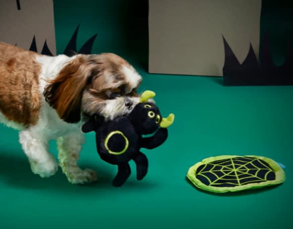 HALLOWEEN BARK ARAÑA DISCO3