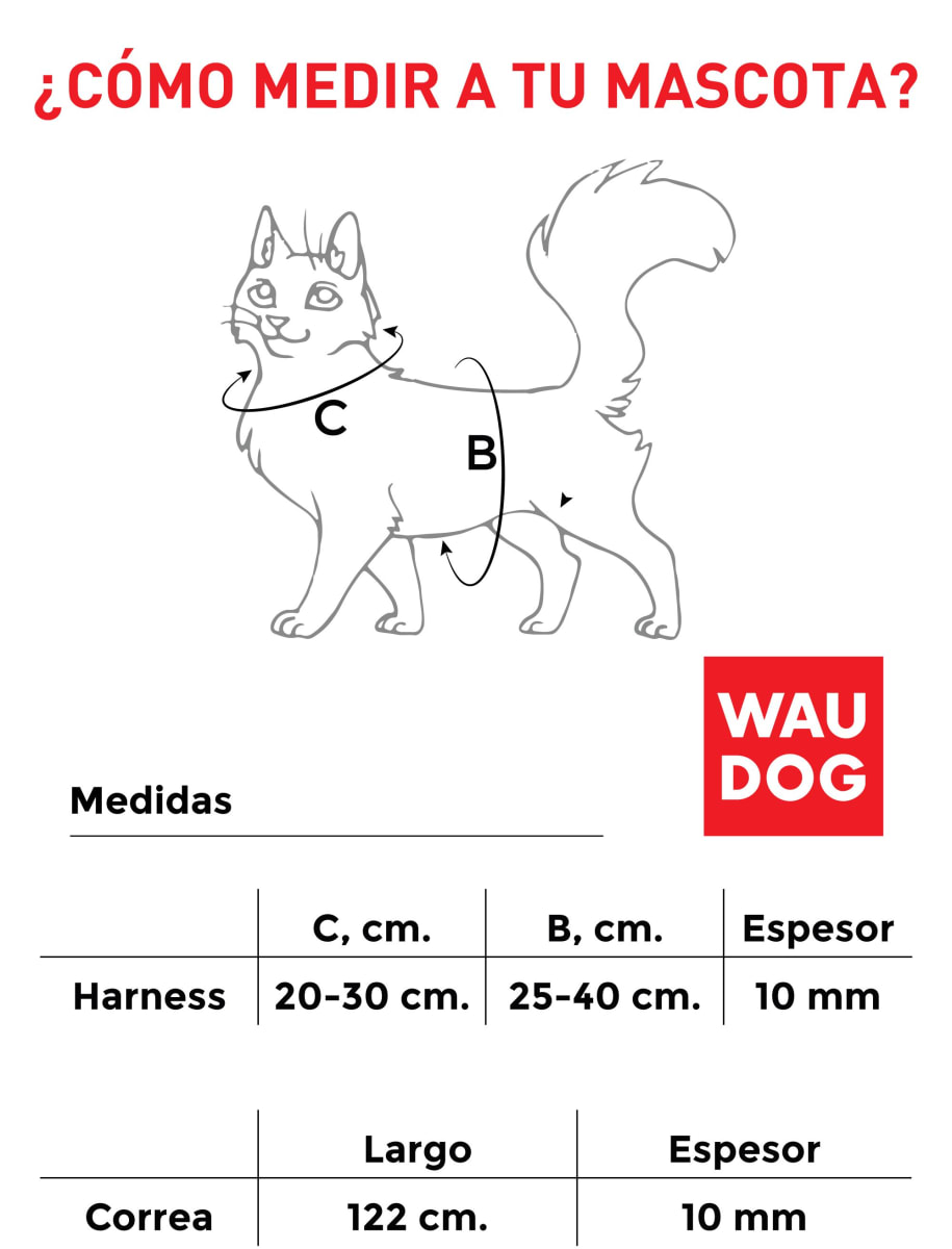 WAUDOG ARNES Y CORREA INDIE + Placa de identificación SMART ID2