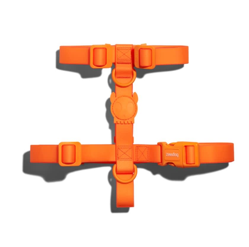 ZEEDOG ARNES NEOPRO TANGERINE1