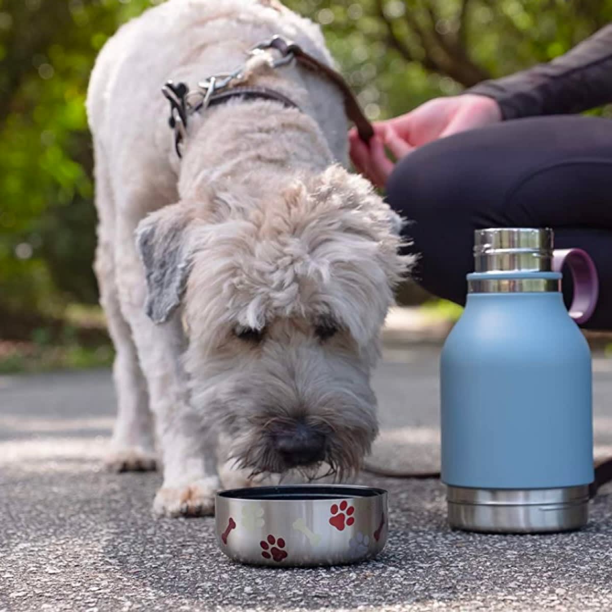 ASOBU DOG BOWL BOTTLE STAINLESS BLUE5
