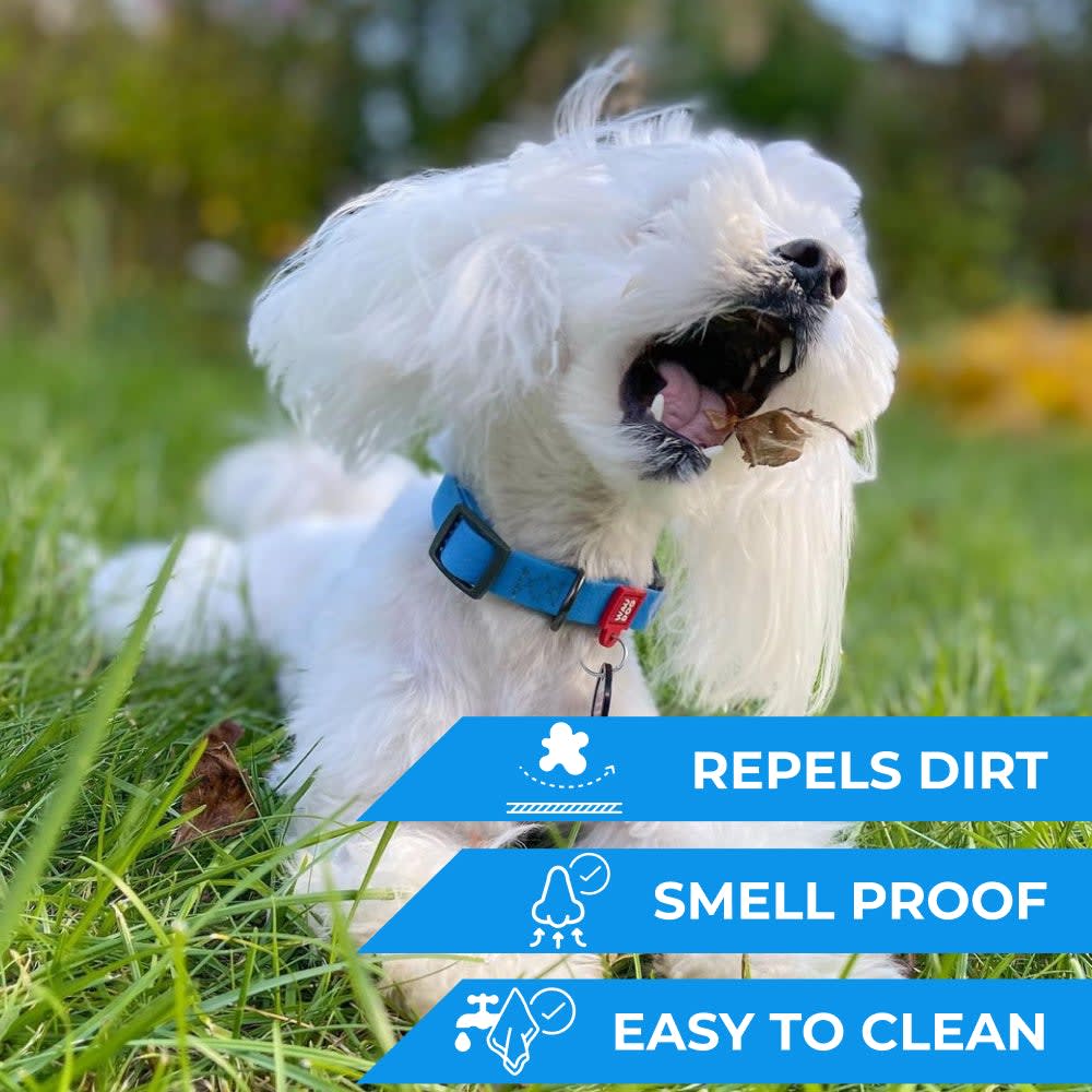 WAUDOG COLLAR WATERPROOF AZUL - HEBILLA FASTEX METAL - PLACA QR5