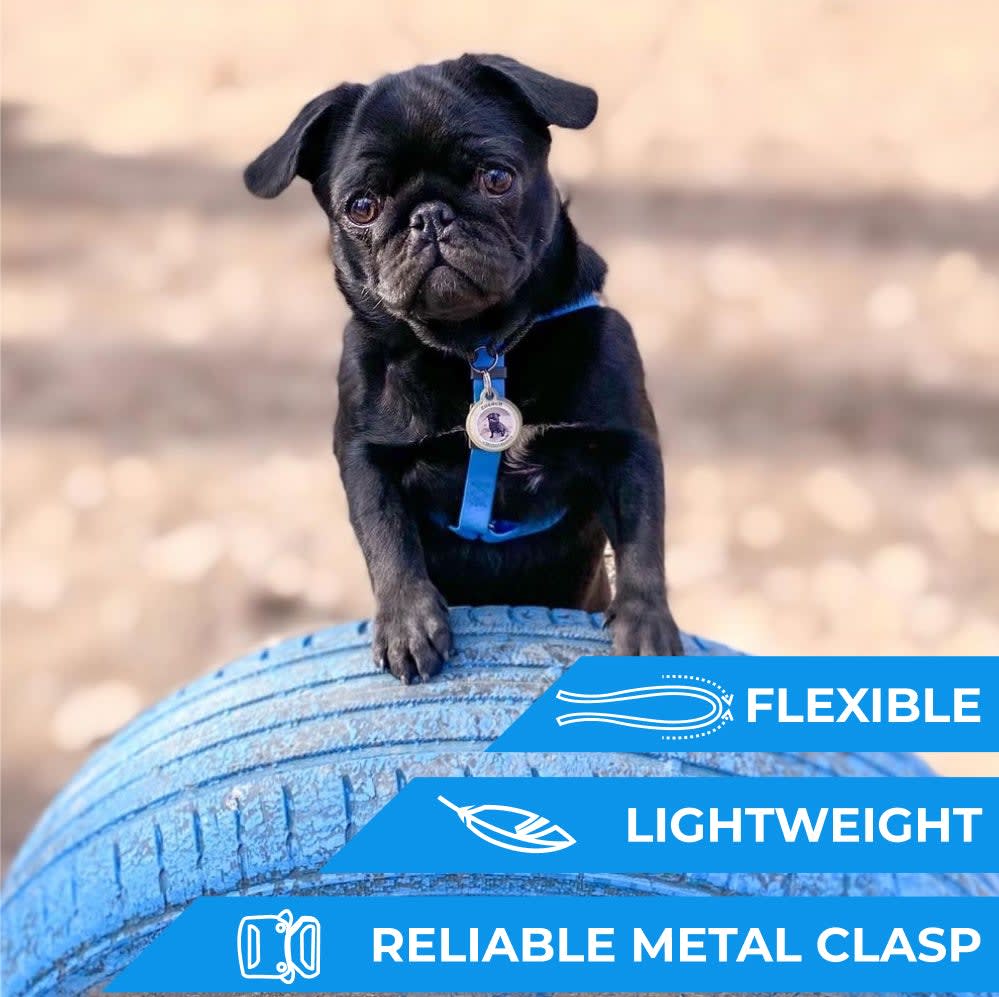 WAUDOG ARNES WATERPROOF AZUL - HEBILLA FASTEX METAL - PLACA QR3