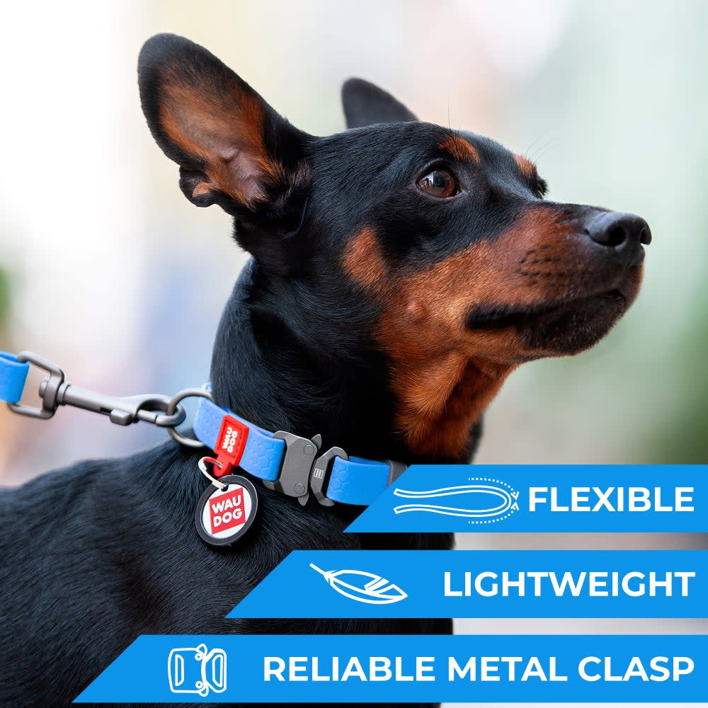 WAUDOG COLLAR WATERPROOF AZUL - HEBILLA FASTEX METAL - PLACA QR6