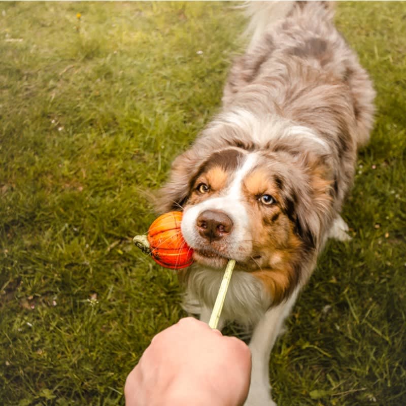 Liker Lumi Pelota con Cuerda que brilla en la oscuridad3