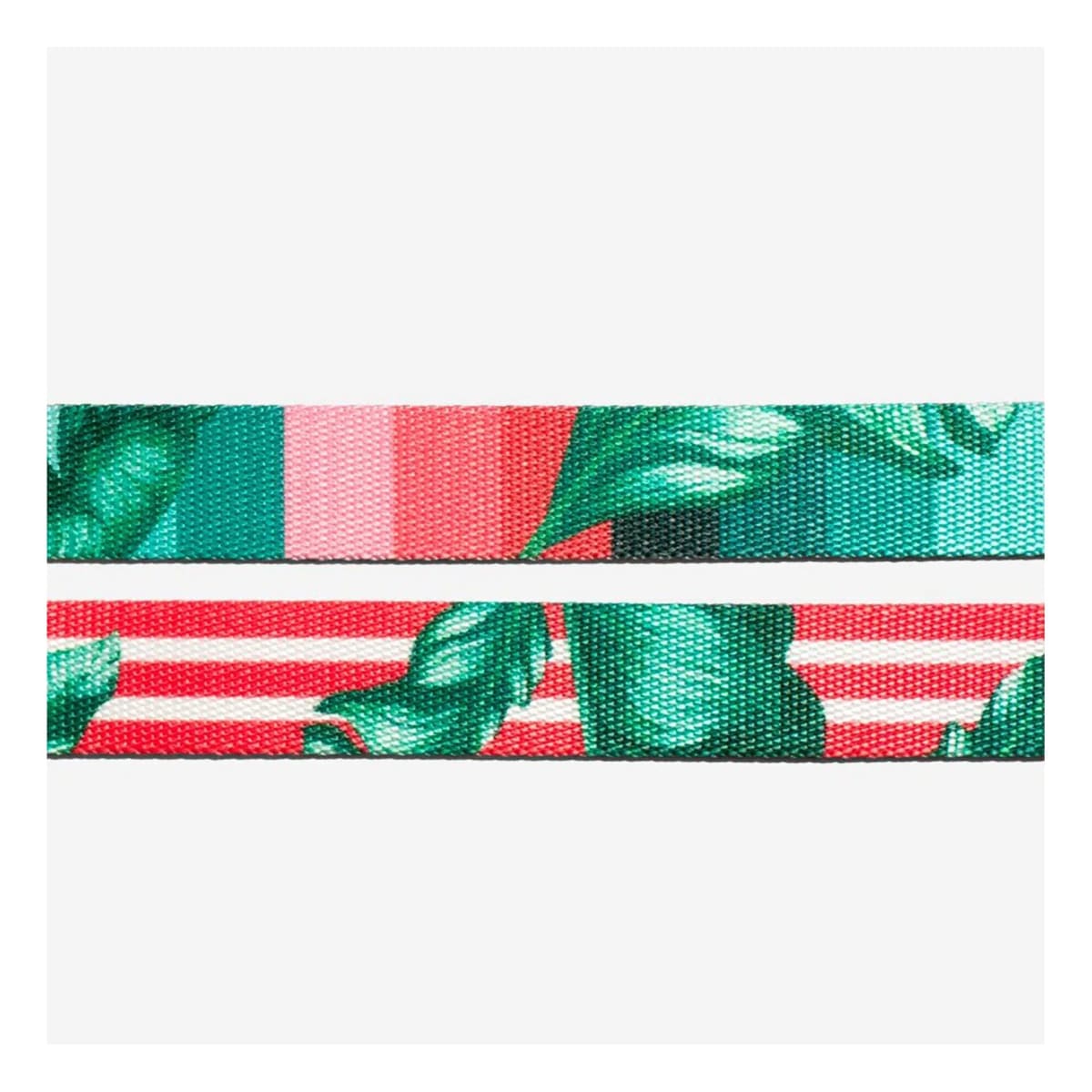 ZEEDOG COLLAR BALI3