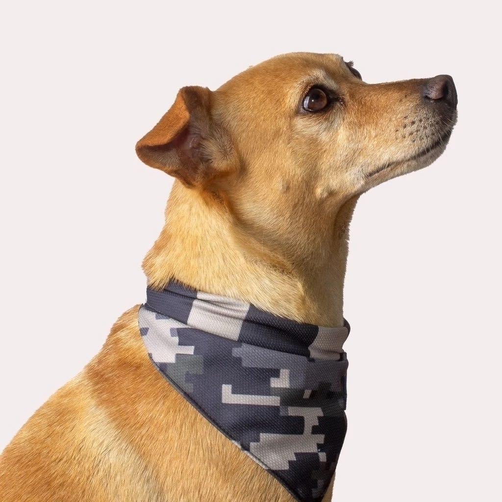 CACHORREIROS BANDANA CAMUFLADO GRIS3