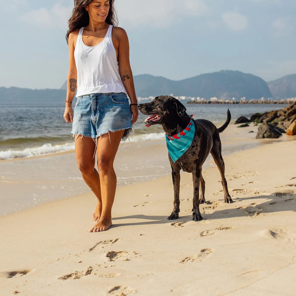 CACHORREIROS BANDANA HONEY2