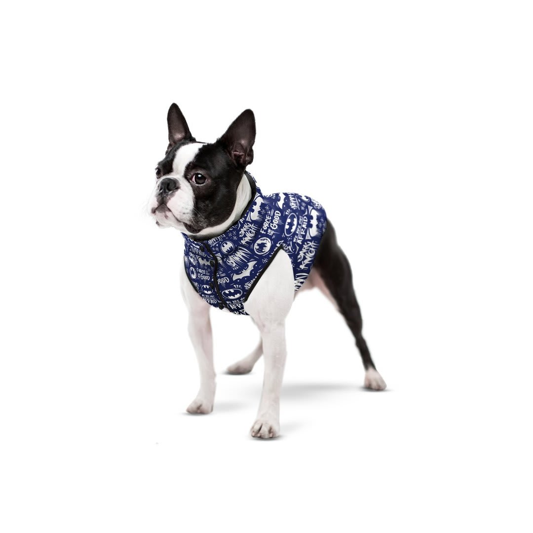 WAUDOG BATMAN BLUE WHITE DC COMICS2