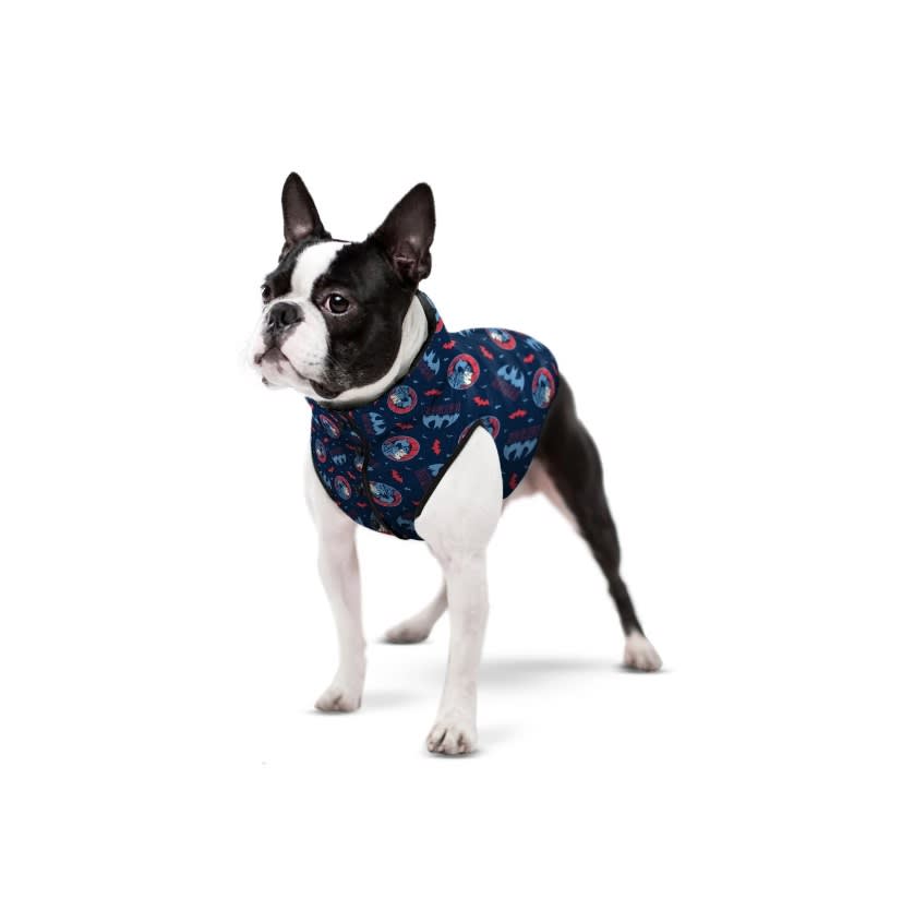 WAUDOG BATMAN BLUE RED DC COMICS2