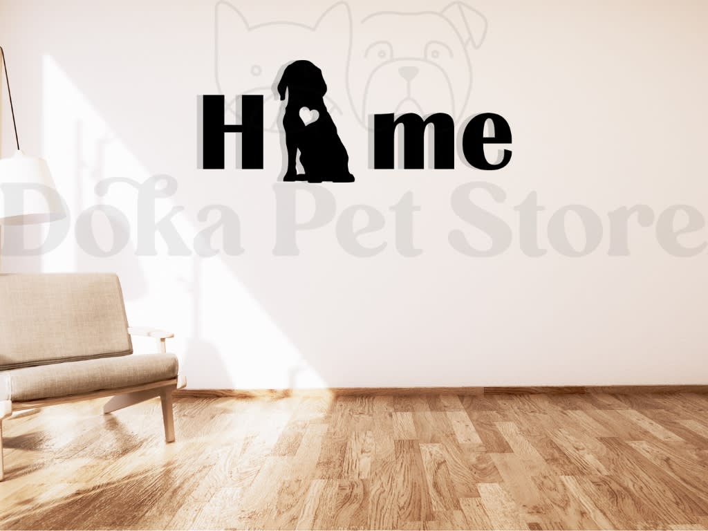 BEAGLE HOME2
