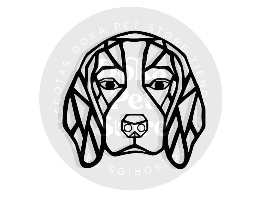 GEOMÉTRICO BEAGLE 1