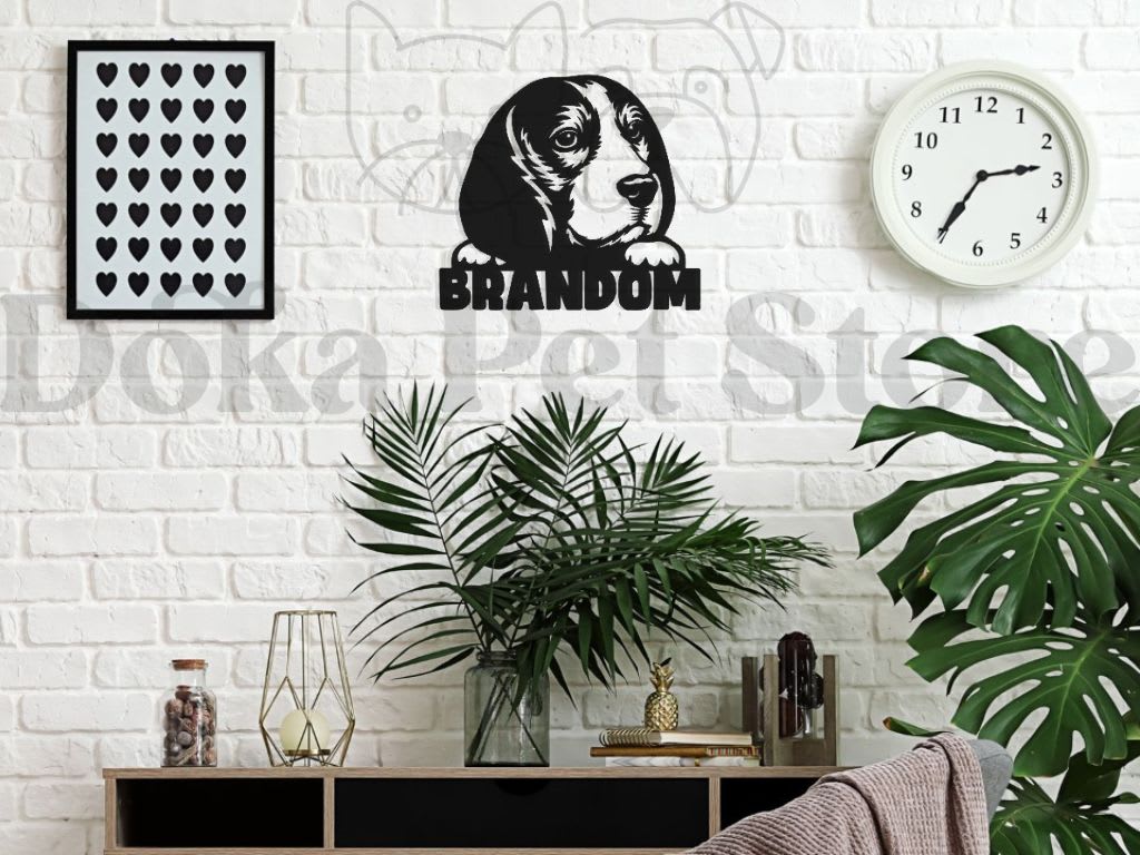 BEAGLE FIGURA1