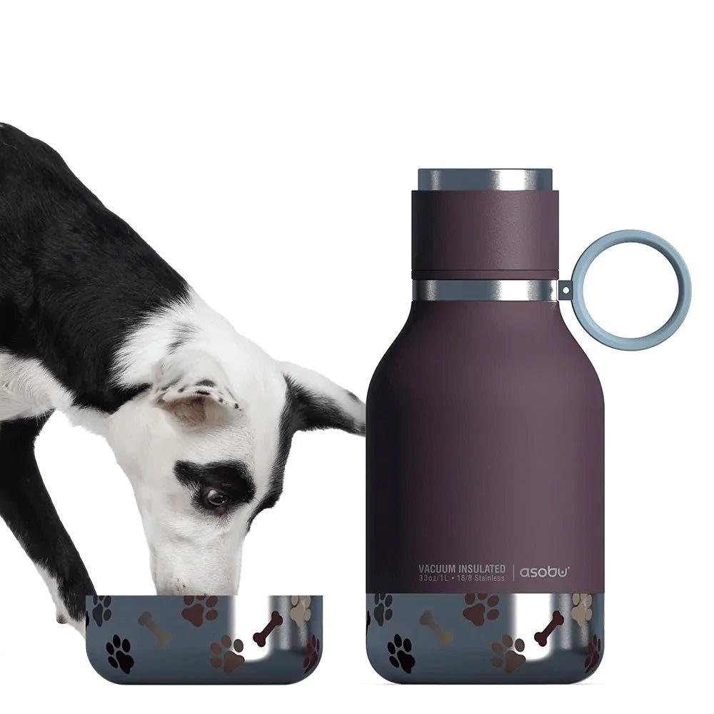 ASOBU DOG BOWL BOTTLE STAINLESS BURGUNDY4