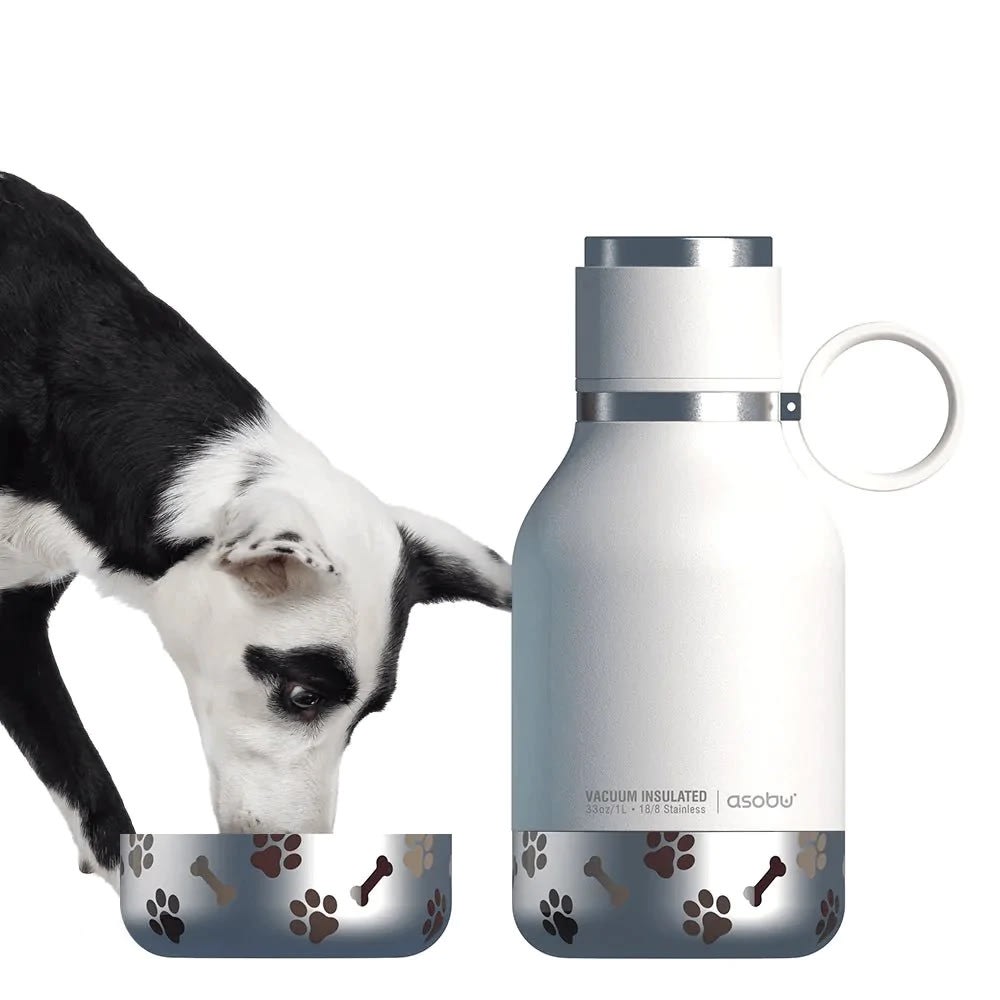 ASOBU DOG BOWL BOTTLE STAINLESS WHITE1
