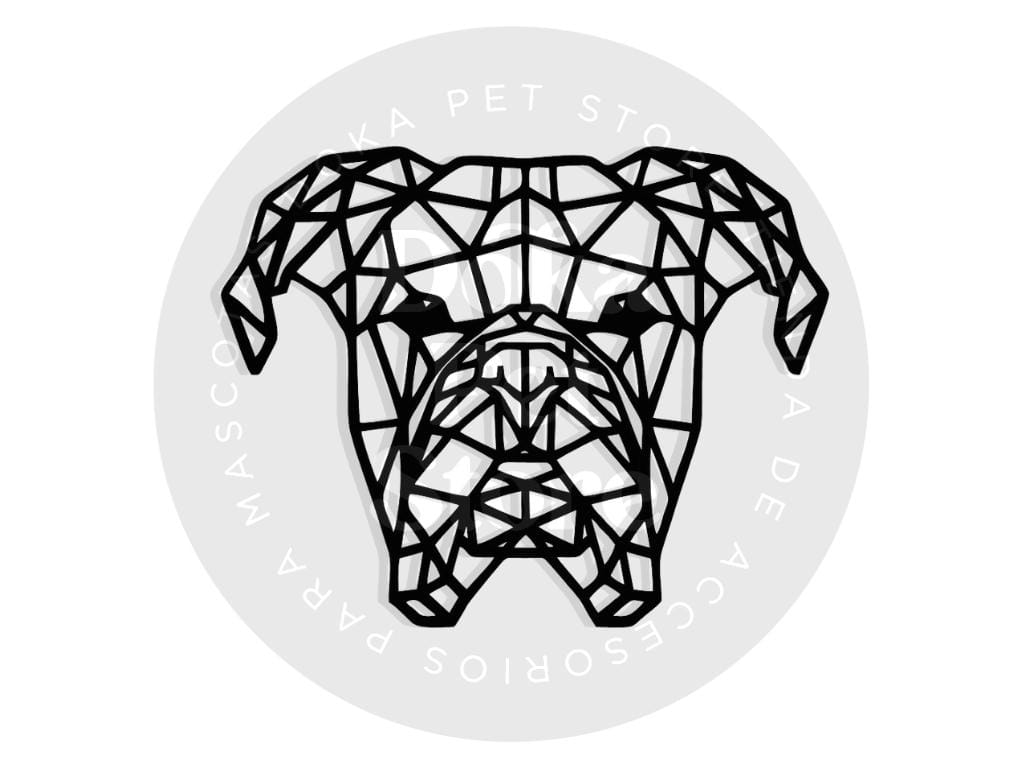 GEOMÉTRICO BOXER 11