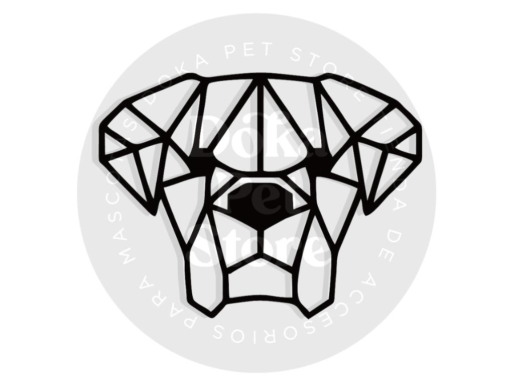 GEOMÉTRICO BOXER 21