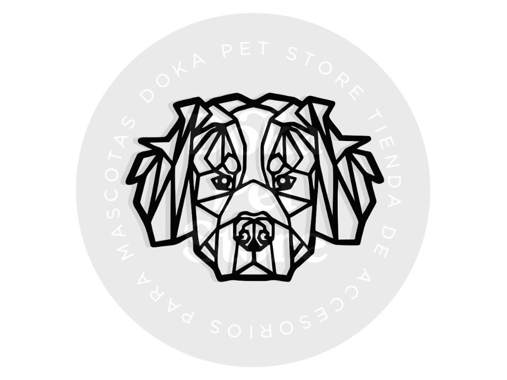 GEOMÉTRICO BOYERO DE BERNA1