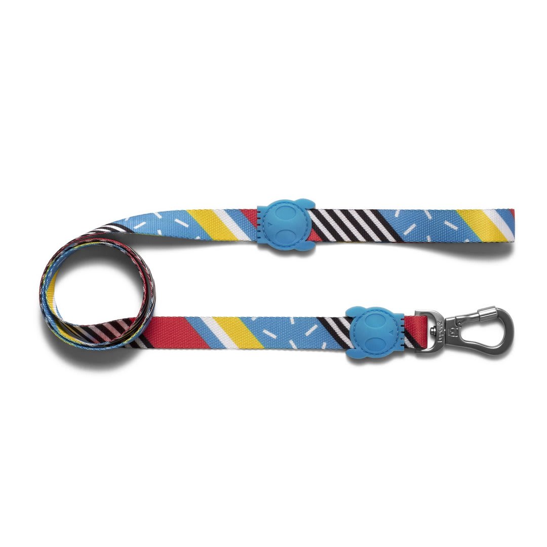 ZEEDOG CORREA BROOKLYN1