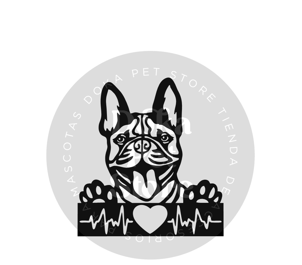 BULLDOG FRANCÉS 1 BEATS1