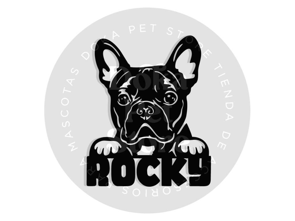 BULLDOG FRANCES 5 FIGURA1