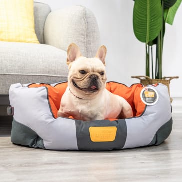 GIGWI GIG PLACE SOFT BED CANVAS, TPR ORANGE & GRAY2