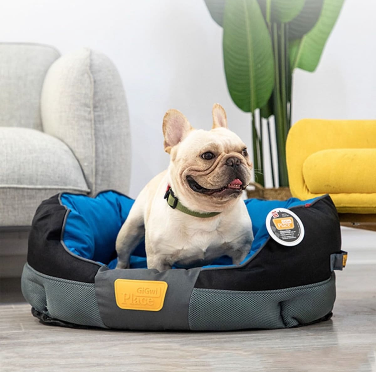 GIGWI GIG PLACE SOFT BED CANVAS, TPR BLUE & BLACK2
