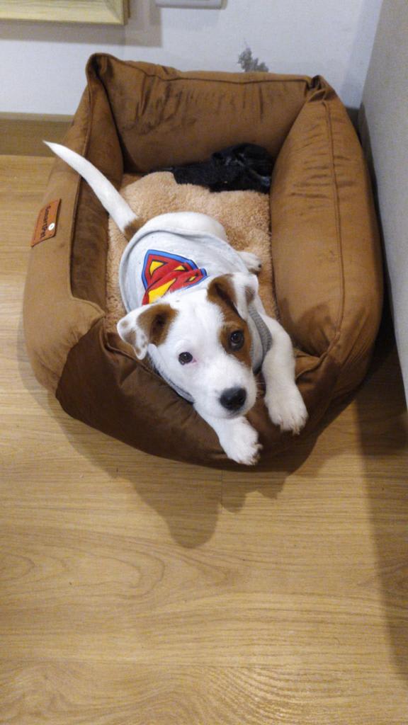 CAMA PREMIUM TERCIOPELO MARRON3