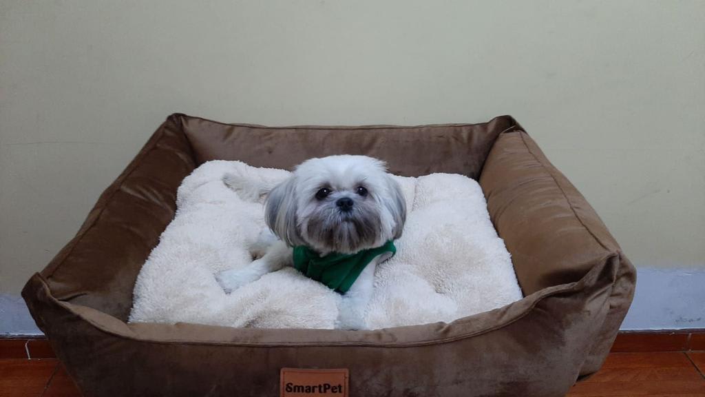 CAMA PREMIUM TERCIOPELO MARRON2