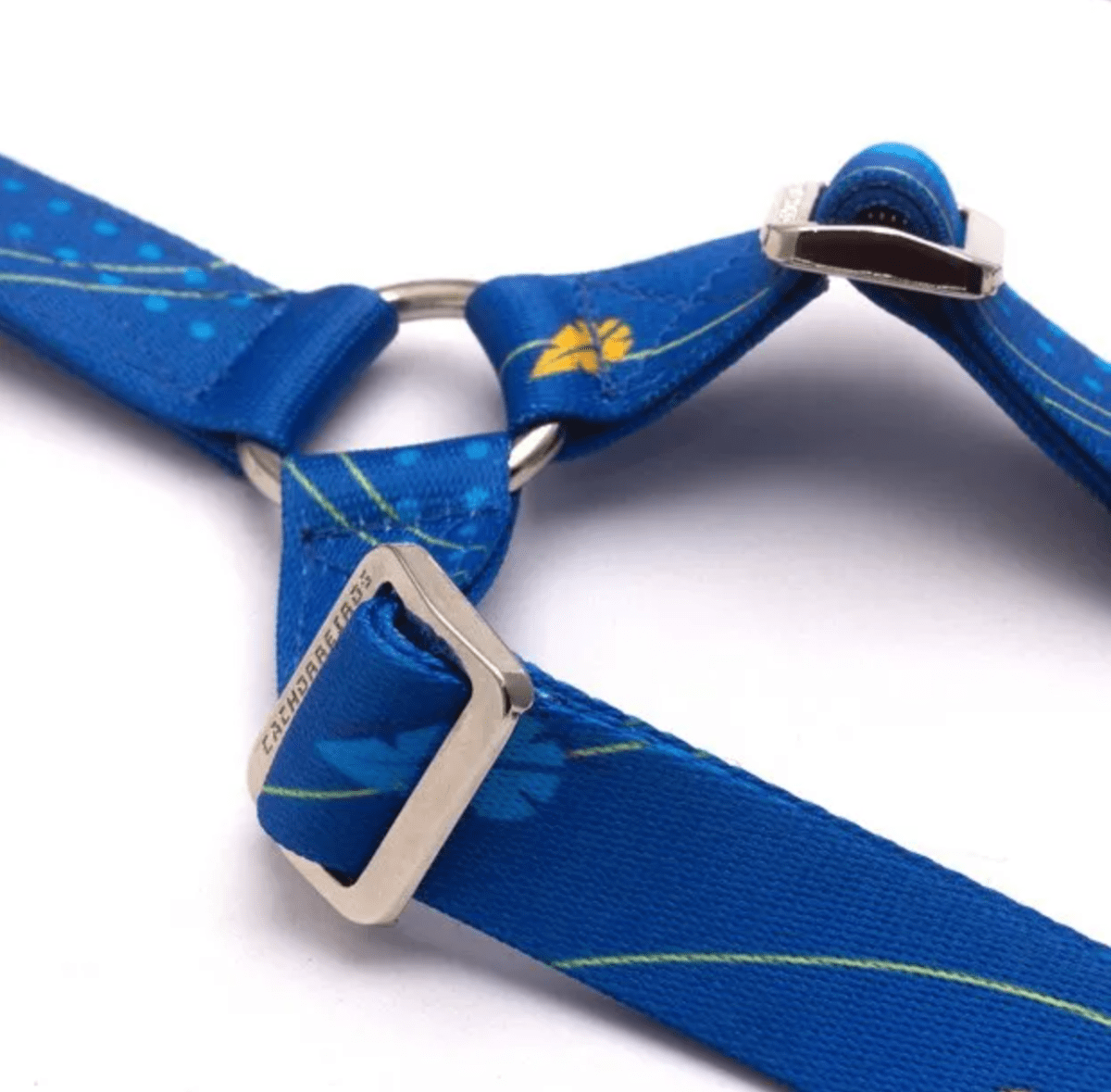 CACHORREIROS CORREA DOBLE INDIGO2