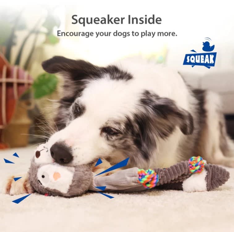 MEDIUM PLUSH FRIENDZ MAPACHE GIGWI - JUGUETE JALADOR CON SOGA INTERIOR + CHIRRIADOR2