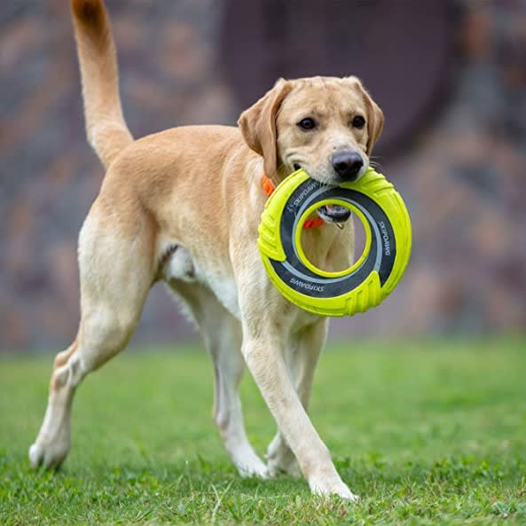 GIGWI Skipdawg Original Duroflex Disc3