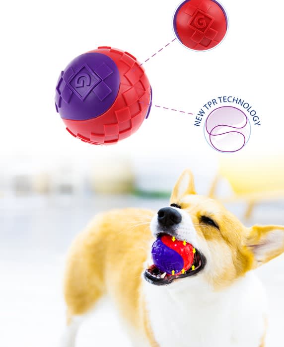 GIGWI Ball with Squeaker  S2