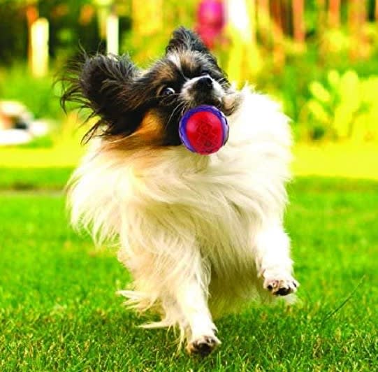 GIGWI Ball with Squeaker red/purple M3