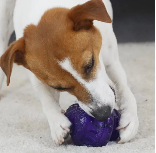 GIGWI PELOTA - ROLLING BELL BALL3