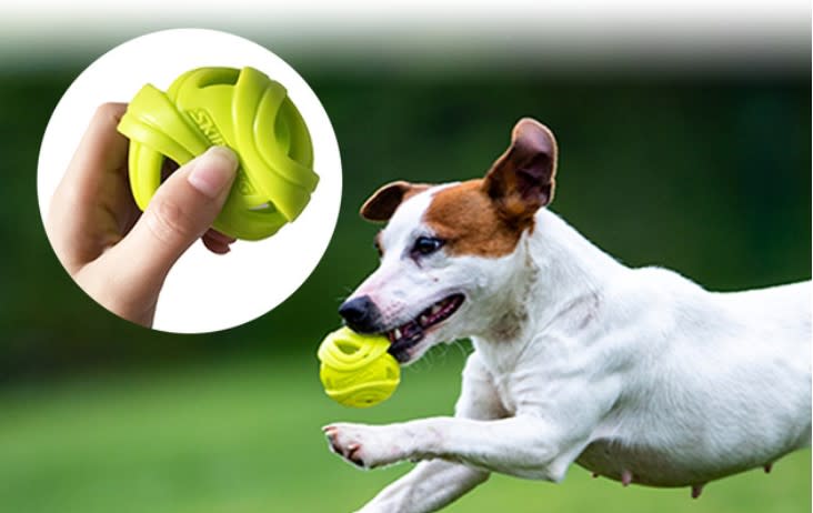 GIGWI SKIPDAWG TPR BREEZY BALL 2PK3