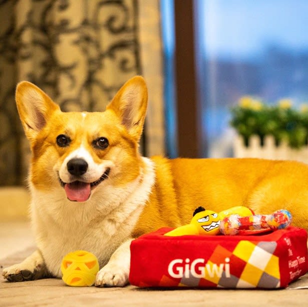 GIGWI HAPPY BOX OLFATIVA3