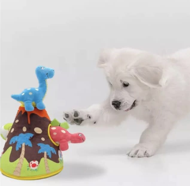 GIGWI VOLCÁN COGNITIVO3