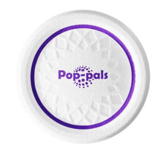 GIGWI Pop-Pals Everlasting Durable Flying Disc2