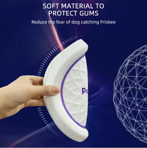 GIGWI Pop-Pals Everlasting Durable Flying Disc3