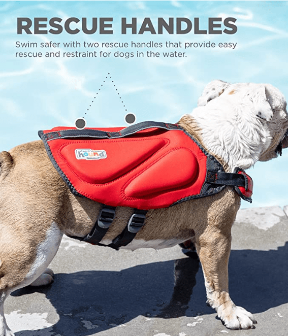 Dawson Swim Dog Life Jacket2