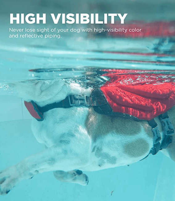 Dawson Swim Dog Life Jacket3