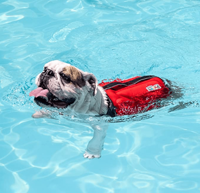 Outward Hound Dawson Hundeschwimmweste Größe L – Neopren, Mit Auftrieb & Reflektoren, Für Wasserabenteuer