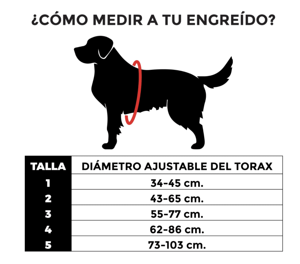 ZEEDOG WICKED FLYHARNESS ARNES7