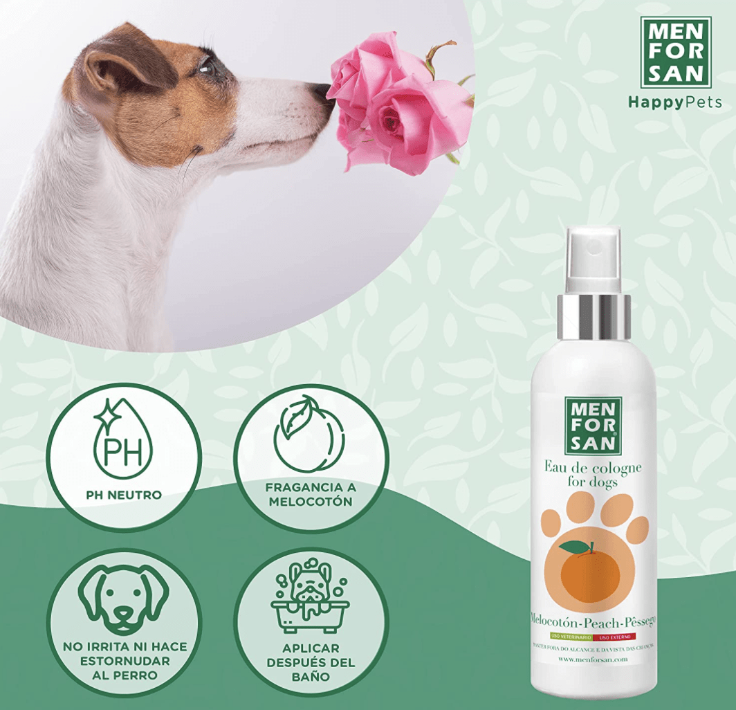Men For San colonia MELOCOTON para perros 125ML2