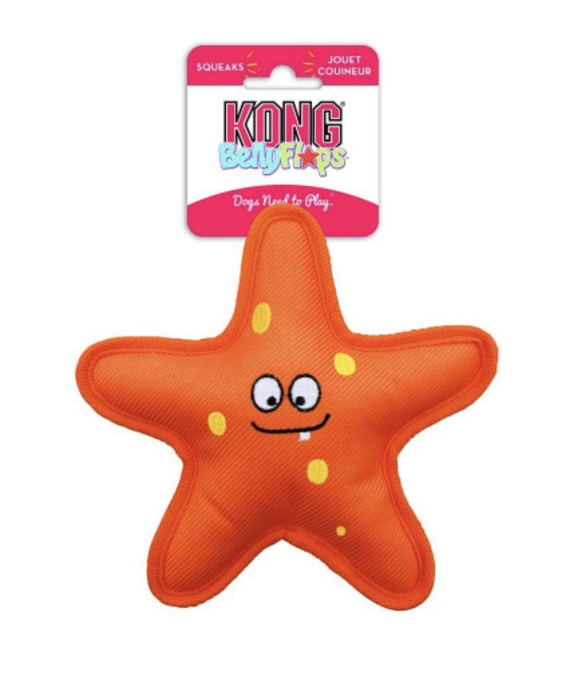 KONG Belly Flops Starfish1