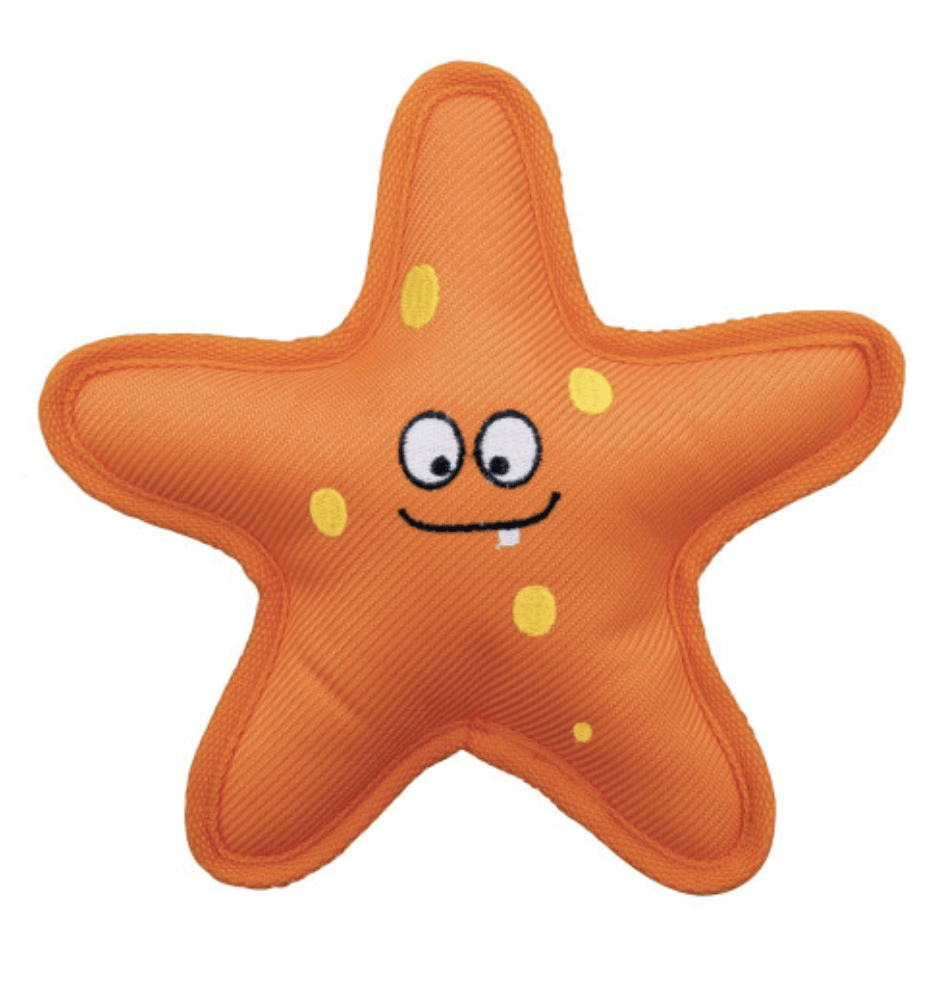 KONG Belly Flops Starfish2