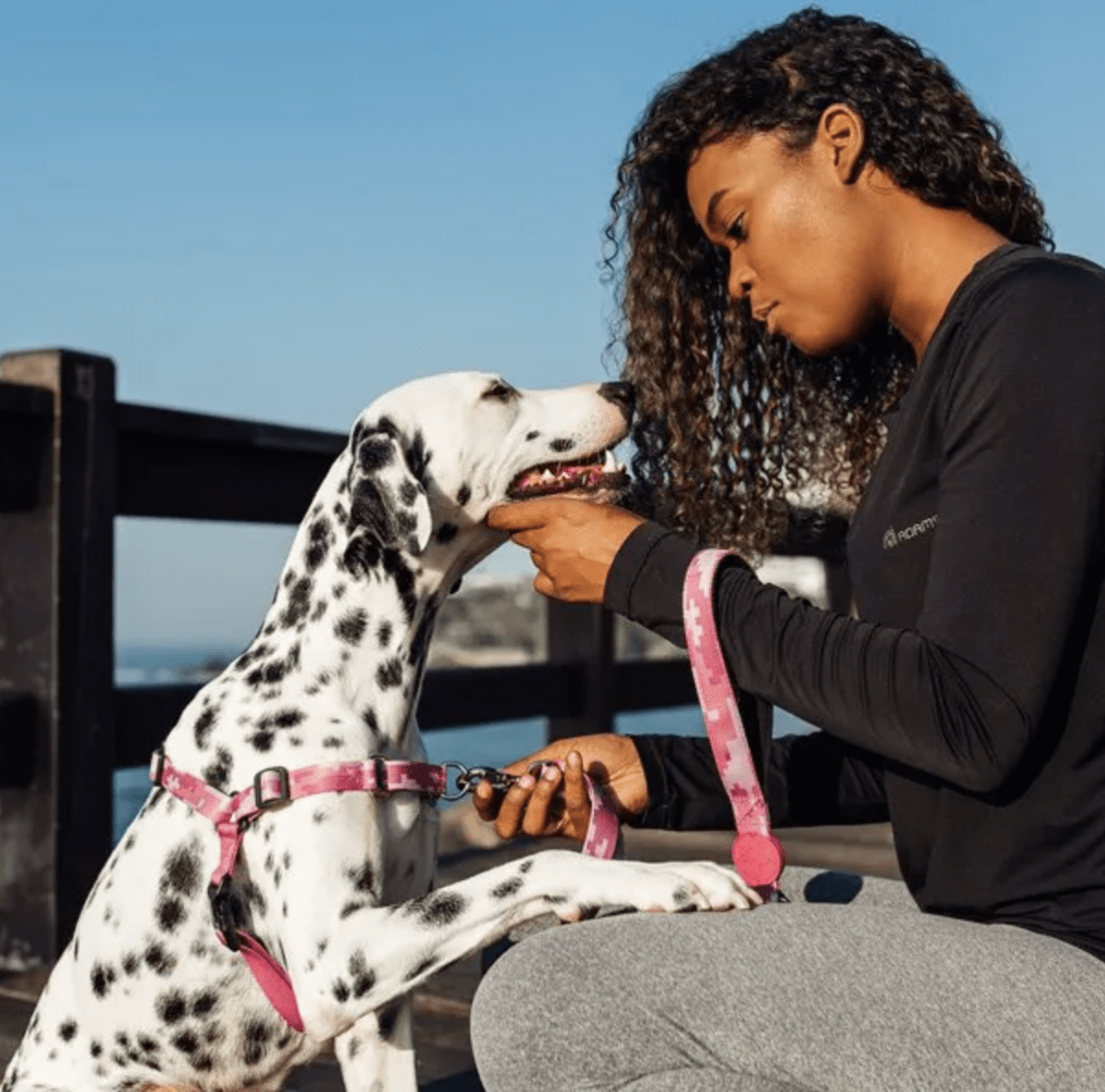 CACHORREIROS ARNES ANTIJALONES CAMUFLADO ROSADO5