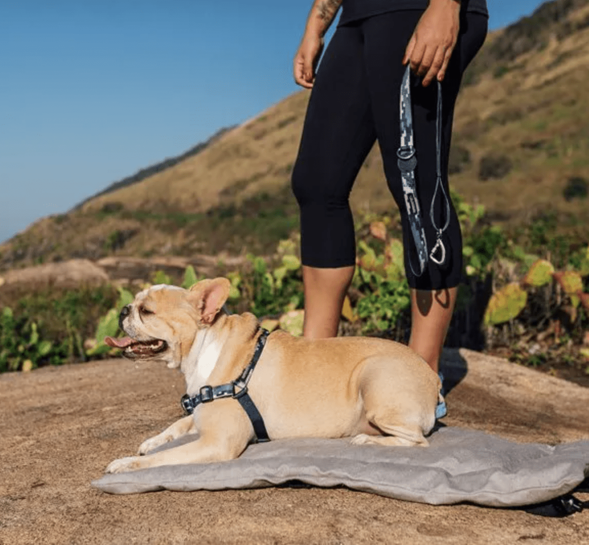 CACHORREIROS ARNES ANTIJALONES CAMUFLADO GRIS4